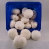 Champignons wit
