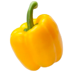 Paprika - geel
