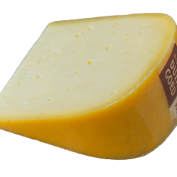 Jong belegen