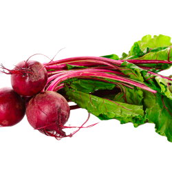 Rode biet