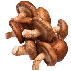 Shiitake