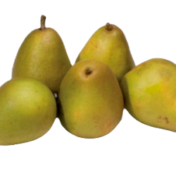 Peren -  Beurré Hardy