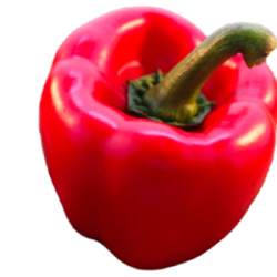 Paprika - rood